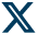 x logo