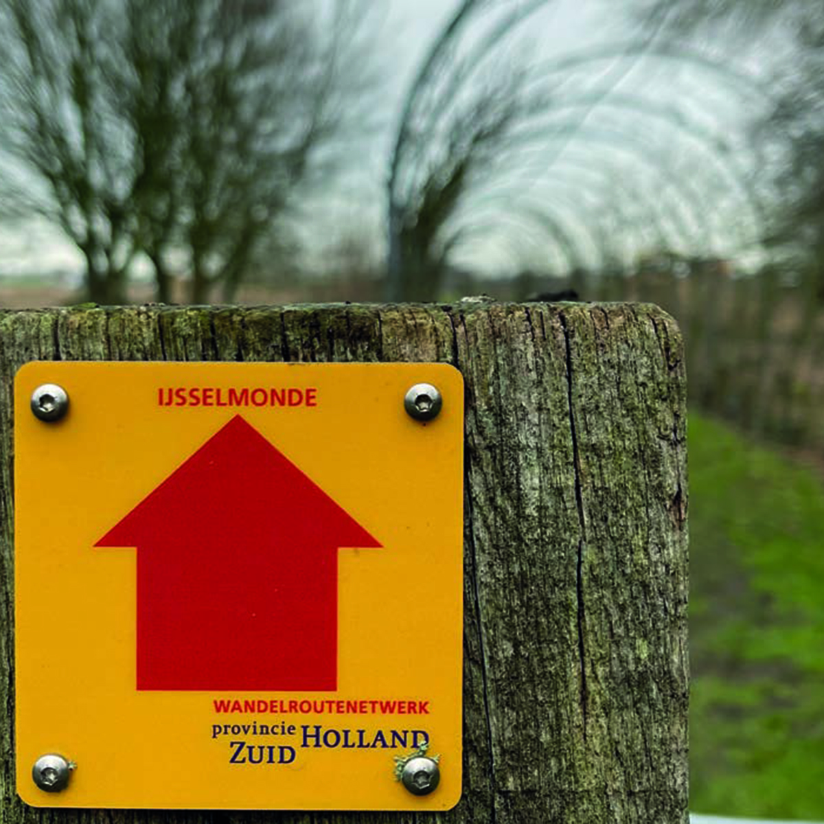 Wandelroute door Het Perenlaantje