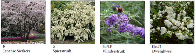 Groenewaal_Overzicht planten 2