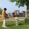 @gemeentehia 8 mei 2024-1 - vierkant