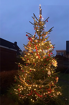 Winnende buurtboom 2021