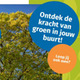 @gemeentehia 10 september 2025 - introbeeld